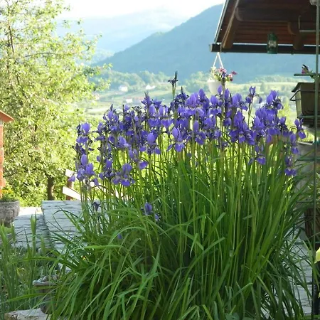 Tatil Evi Nektar Park Bihać