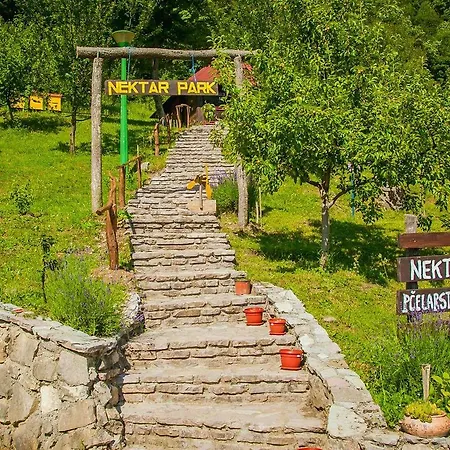 Tatil Evi Nektar Park *