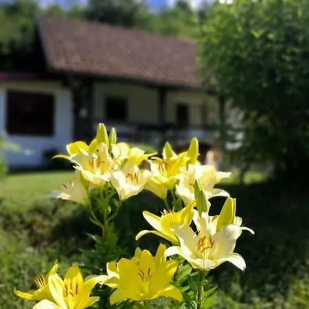 Nektar Park Tatil Evi